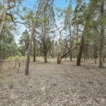 1393 Spring Creek Road Mudgee NSW 2850 AUS