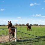 196, 211 Dabee Road Kandos NSW 2848 AUS