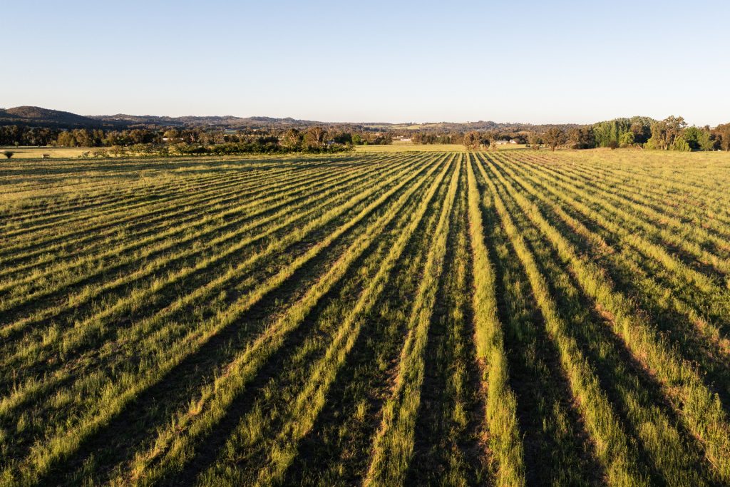 For Sale - Lot 1 Black Springs Road - New Property in Mudgee - Real Estate by Adam Woods