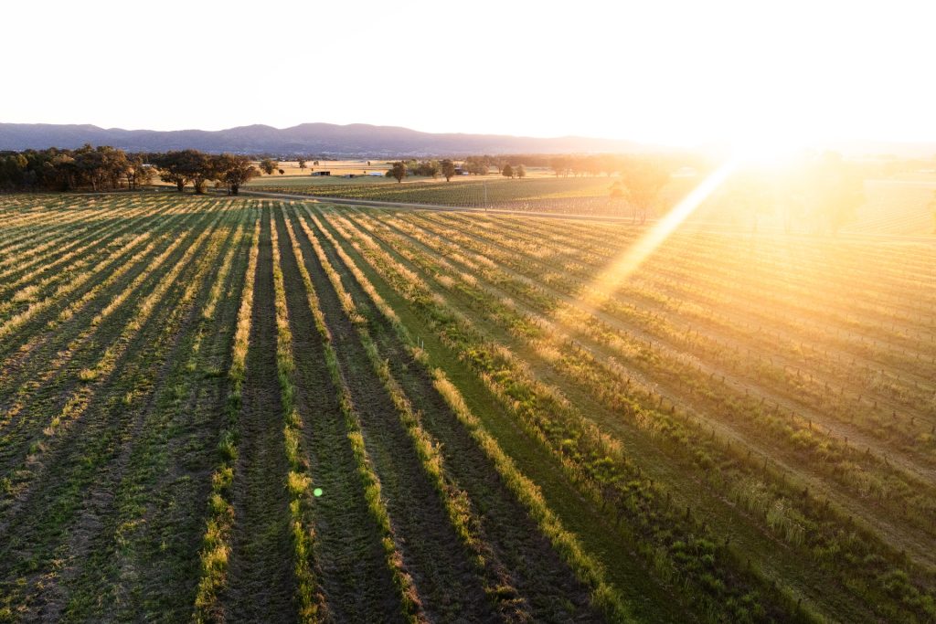 For Sale - Lot 1 Black Springs Road - New Property in Mudgee - Real Estate by Adam Woods