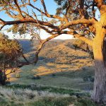 210 Burns Road, Ullamalla Mudgee NSW 2850 AUS