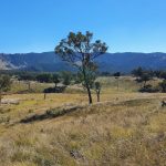 210 Burns Road, Ullamalla Mudgee NSW 2850 AUS