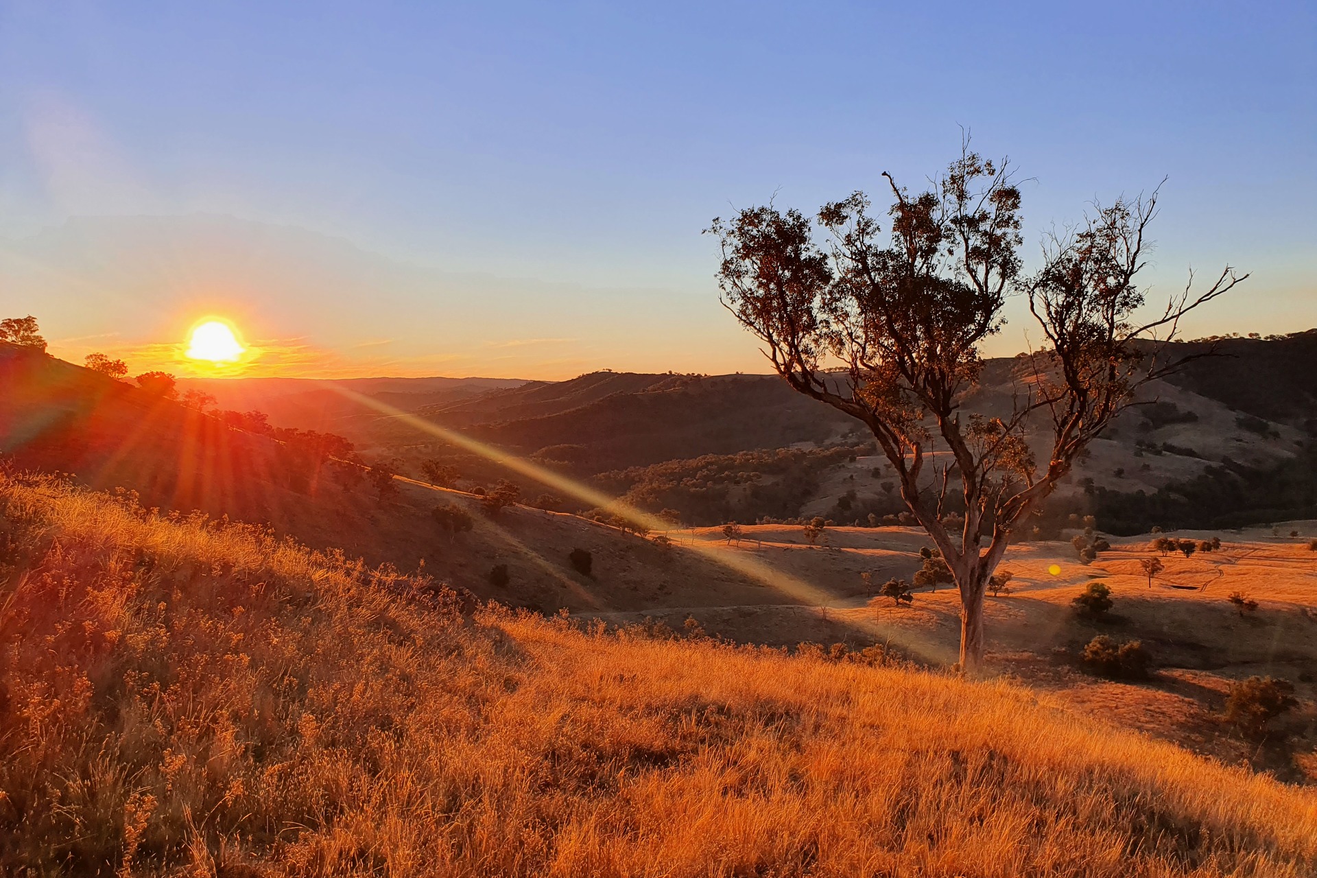 For Sale - 210 Burns Road, Ullamalla - New Property in Mudgee - Real Estate by Ben Smith