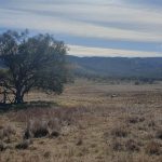 210 Burns Road, Ullamalla Mudgee NSW 2850 AUS