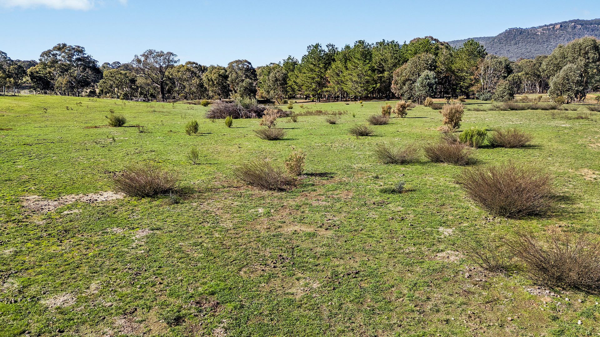 For Sale - 110 Acacia Drive - New Property in Rylstone - Real Estate by Elizabeth Turner