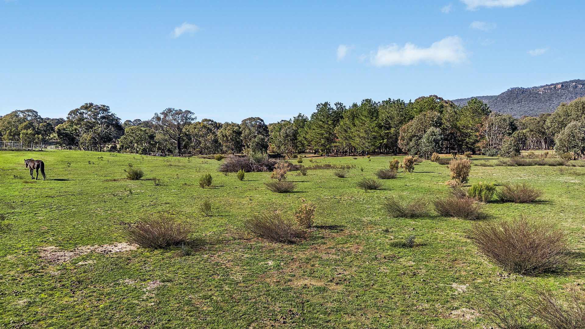 For Sale - 110 Acacia Drive - New Property in Rylstone - Real Estate by Elizabeth Turner