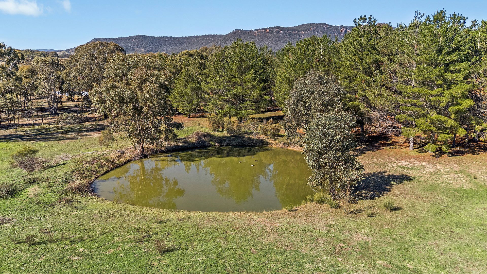 For Sale - 110 Acacia Drive - New Property in Rylstone - Real Estate by Elizabeth Turner