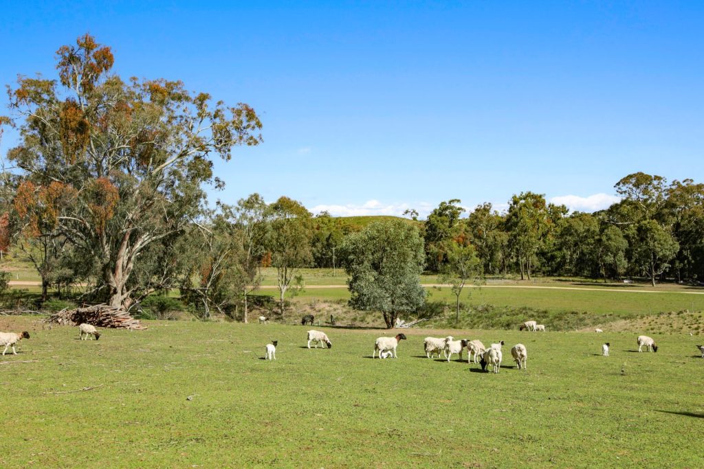 For Sale - 2193 Hill End Road - New Property in Mudgee - Real Estate by Stewart Adlington