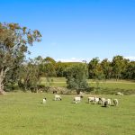2193 Hill End Road Mudgee NSW 2850 AUS