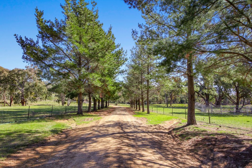 For Sale - 2193 Hill End Road - New Property in Mudgee - Real Estate by Stewart Adlington