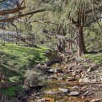 53 Peach Tree Lane Mudgee NSW 2850 AUS