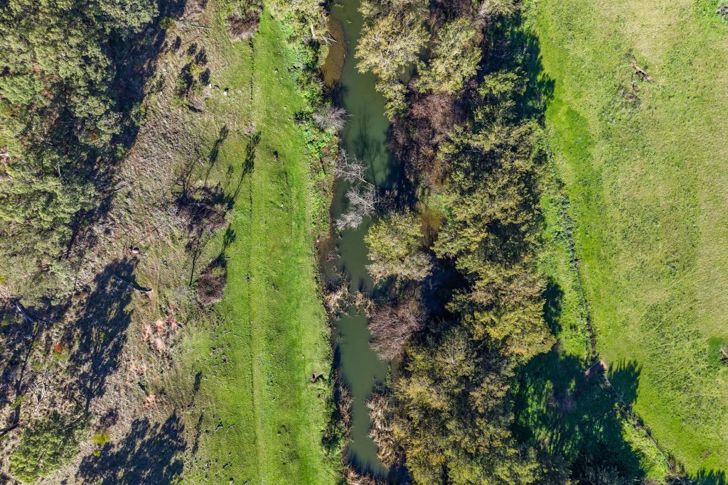 Auction - 53 Peach Tree Lane - New Property in Mudgee - Real Estate by Hamish Rowe