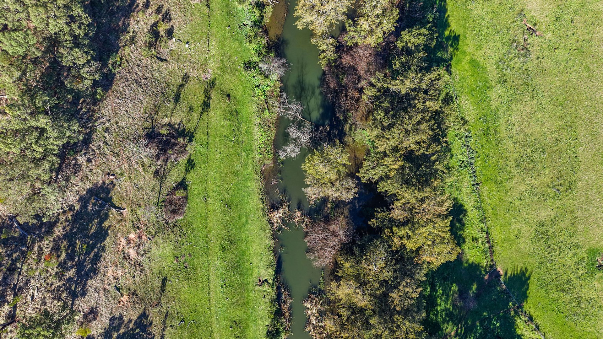 Auction - 53 Peach Tree Lane - New Property in Mudgee - Real Estate by Hamish Rowe