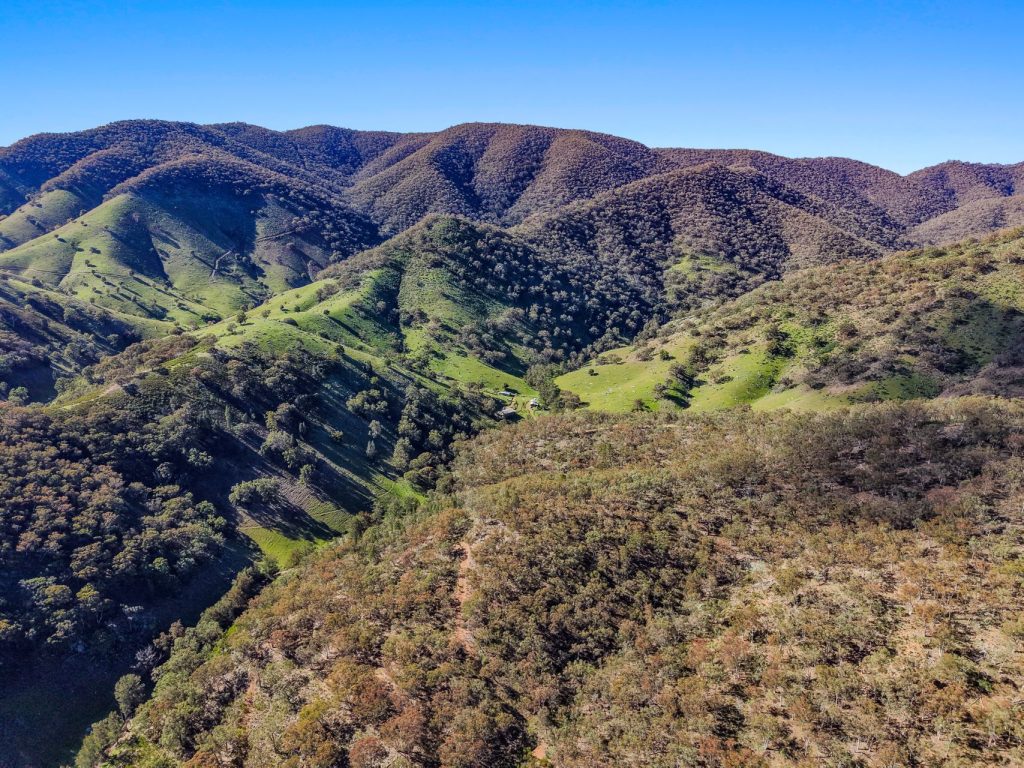 Auction - 53 Peach Tree Lane - New Property in Mudgee - Real Estate by Hamish Rowe