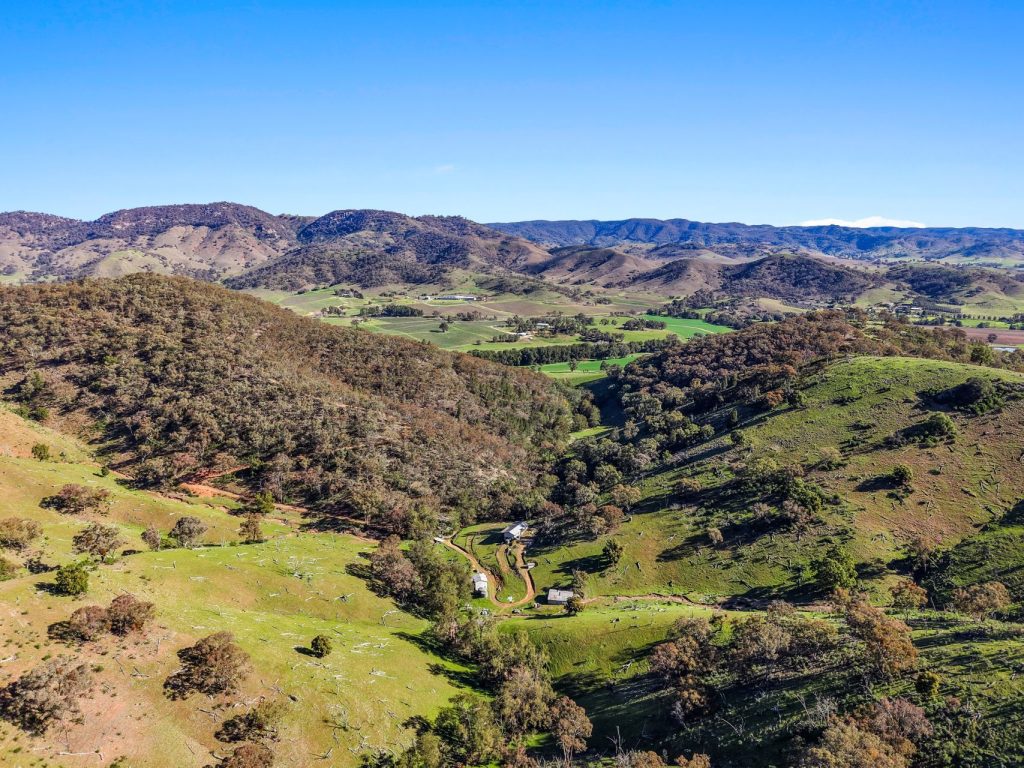 Auction - 53 Peach Tree Lane - New Property in Mudgee - Real Estate by Hamish Rowe