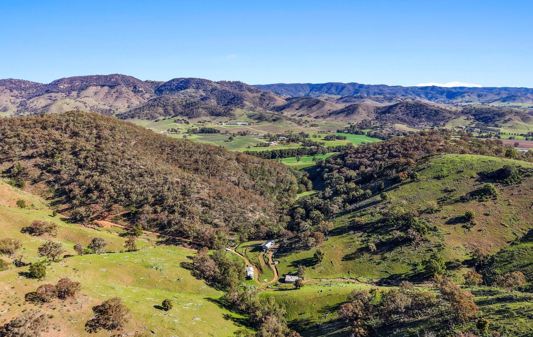 Auction - 53 Peach Tree Lane - New Property in Mudgee - Real Estate by Hamish Rowe
