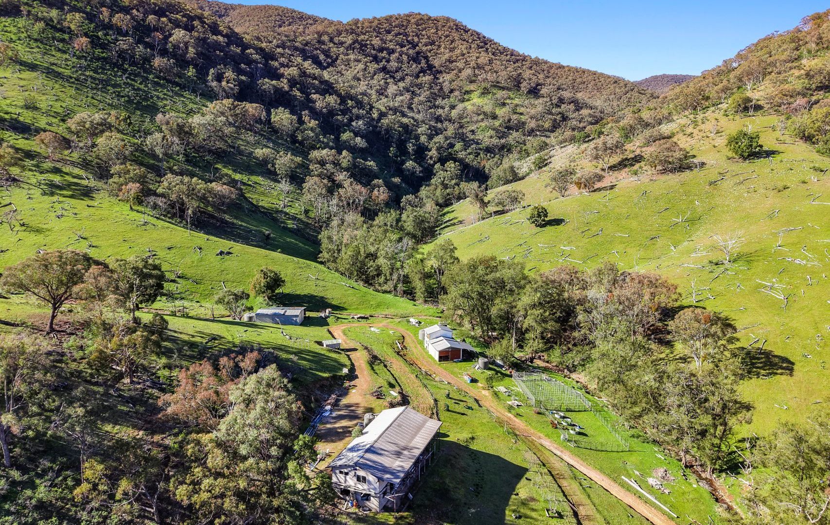 Auction - 53 Peach Tree Lane - New Property in Mudgee - Real Estate by Hamish Rowe