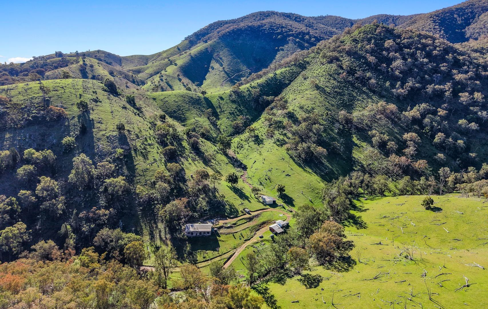 Auction - 53 Peach Tree Lane - New Property in Mudgee - Real Estate by Hamish Rowe