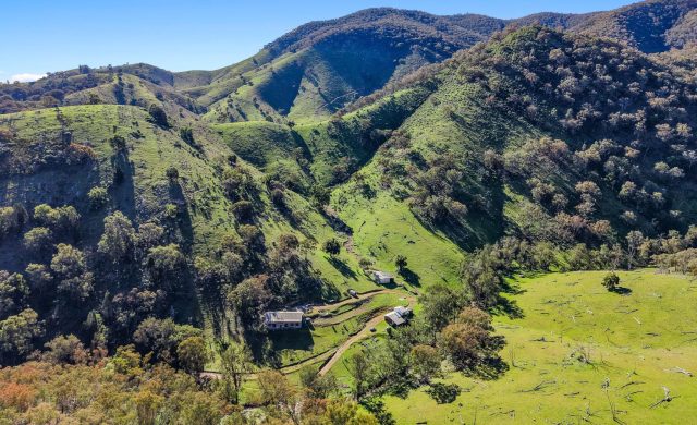 Auction - 53 Peach Tree Lane - New Property in Mudgee - Real Estate by Hamish Rowe