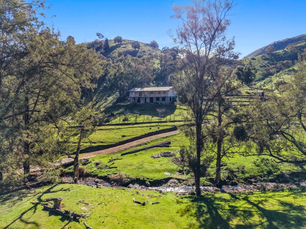 Auction - 53 Peach Tree Lane - New Property in Mudgee - Real Estate by Hamish Rowe