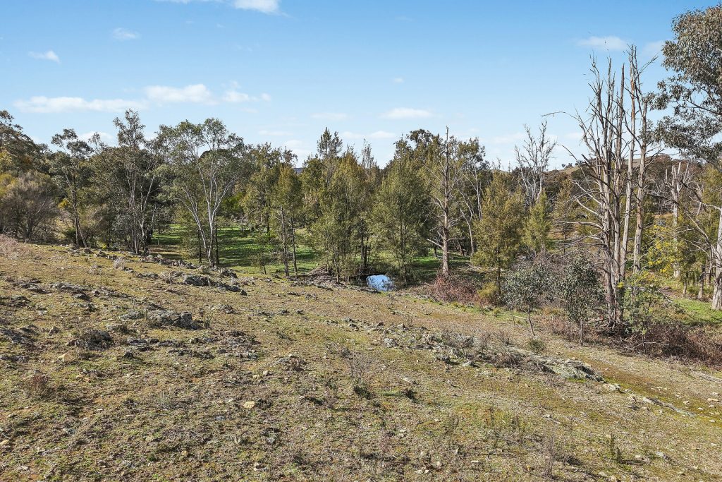 Auction - 1051 Windeyer Road - New Property in Mudgee - Real Estate by Adam Sutherland