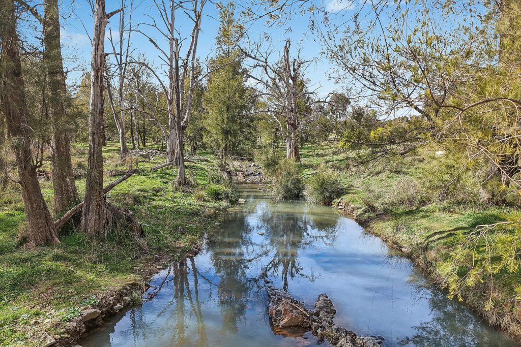 Auction - 1051 Windeyer Road - New Property in Mudgee - Real Estate by Adam Sutherland
