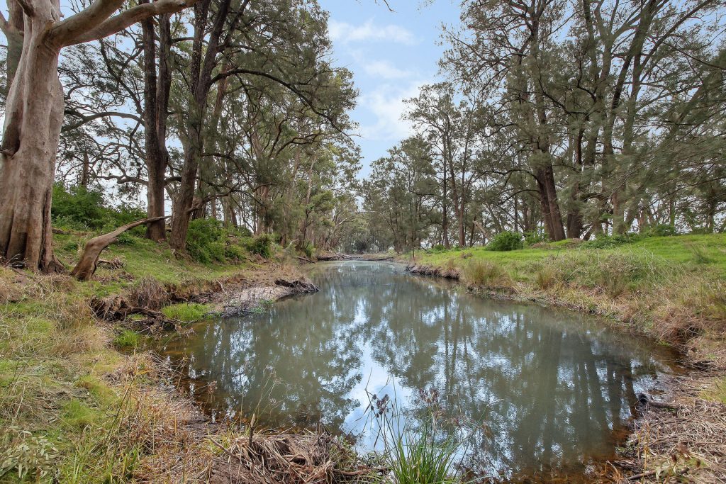 Auction - 125 Holleys Lane - New Property in Gulgong - Real Estate by Ben Smith