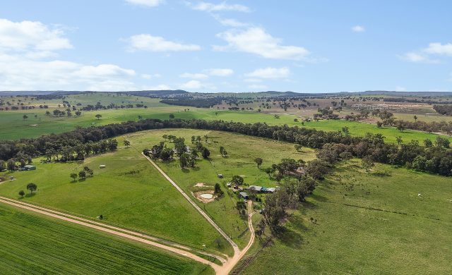 Auction - 125 Holleys Lane - New Property in Gulgong - Real Estate by Ben Smith