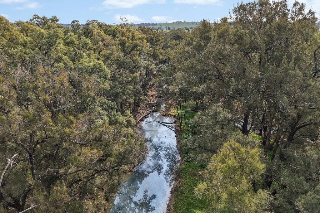 Auction - 125 Holleys Lane - New Property in Gulgong - Real Estate by Ben Smith