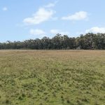 125 Holleys Lane Gulgong NSW 2852 AUS