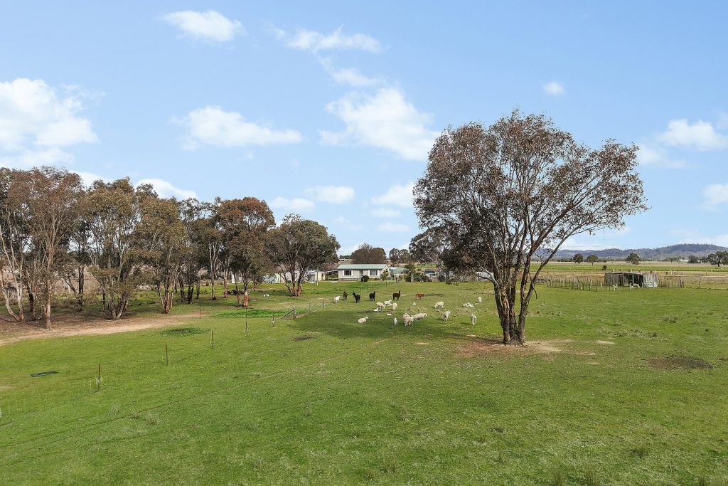 Auction - 125 Holleys Lane - New Property in Gulgong - Real Estate by Ben Smith