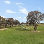 125 Holleys Lane Gulgong NSW 2852 AUS