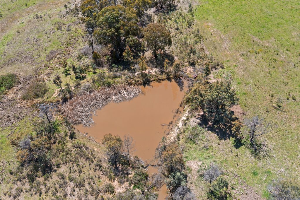Auction - 101 Evans Road - New Property in Mudgee - Real Estate by Adam Woods
