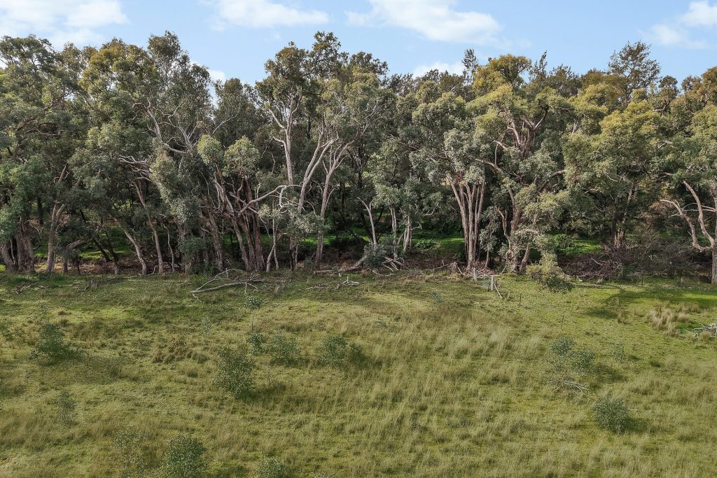 Auction - 125 Holleys Lane - New Property in Gulgong - Real Estate by Ben Smith