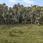 125 Holleys Lane Gulgong NSW 2852 AUS