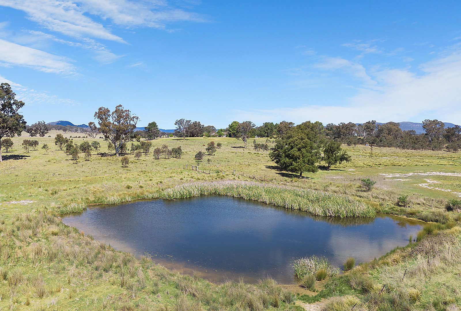 For Sale - 3019 Bylong Valley Way - New Property in Rylstone - Real Estate by Stewart Adlington