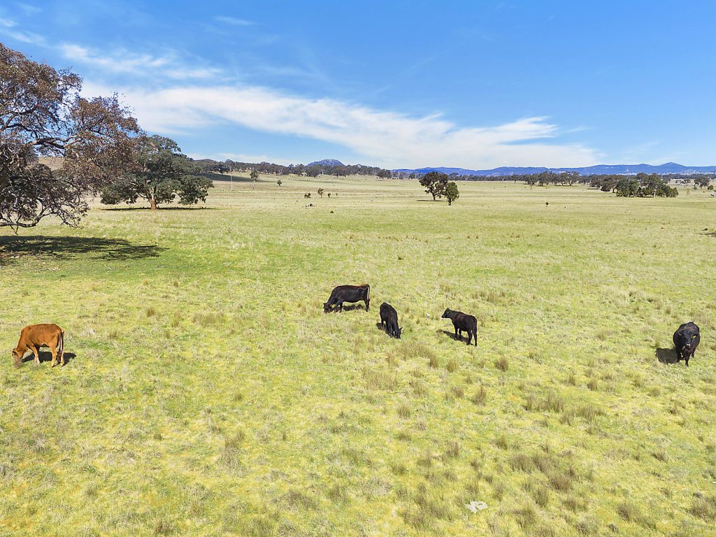 Auction - 3019 Bylong Valley Way - New Property in Rylstone - Real Estate by Stewart Adlington