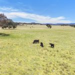 3019 Bylong Valley Way Rylstone NSW 2849 AUS