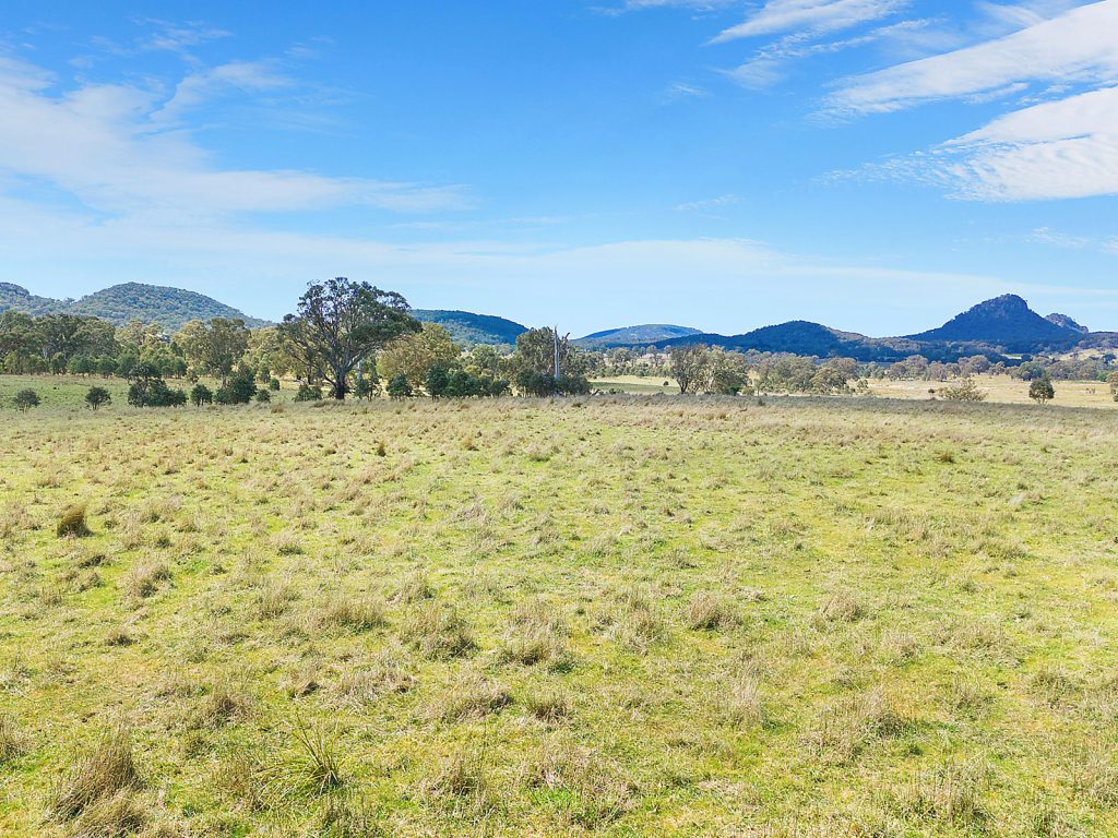 Auction - 3019 Bylong Valley Way - New Property in Rylstone - Real Estate by Stewart Adlington