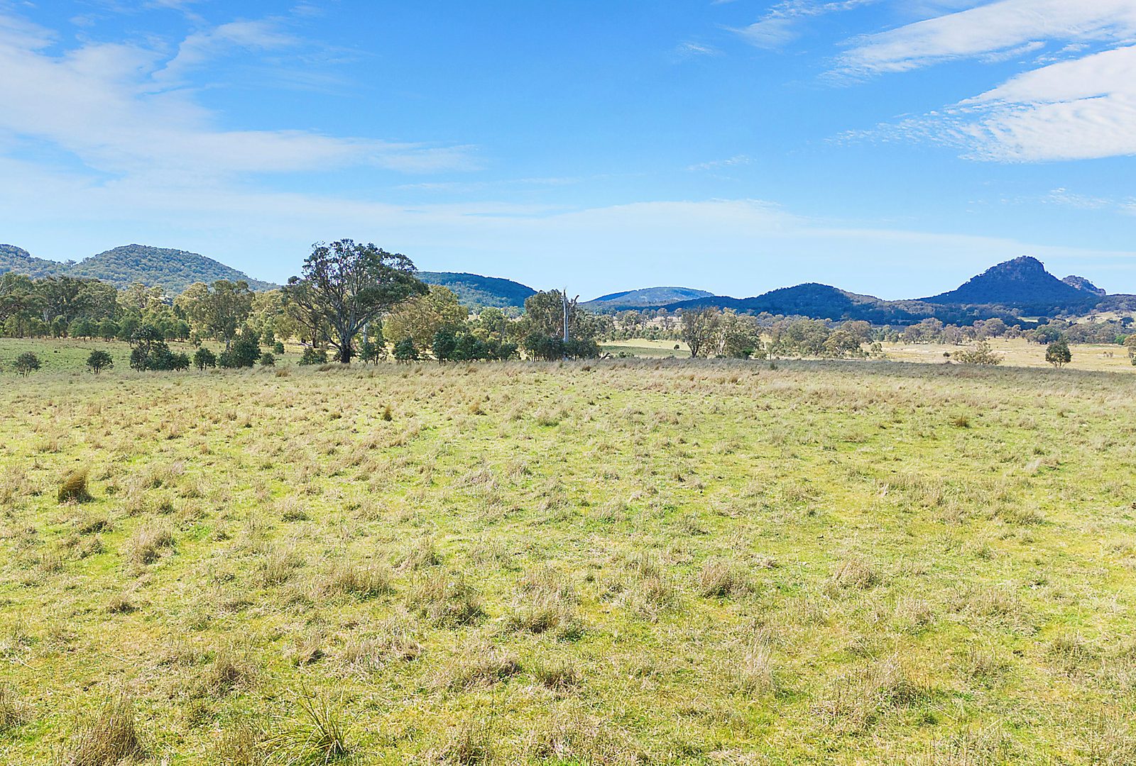 For Sale - 3019 Bylong Valley Way - New Property in Rylstone - Real Estate by Stewart Adlington