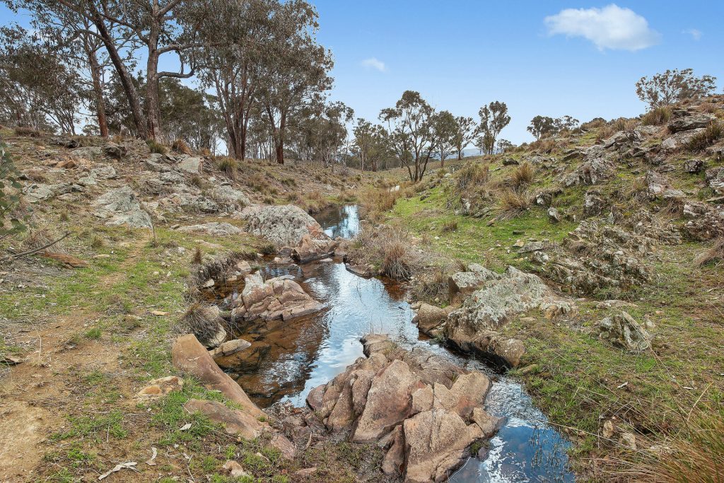 For Sale - Lot 1301, Queens Pinch Road - New Property in Mudgee - Real Estate by Adam Woods