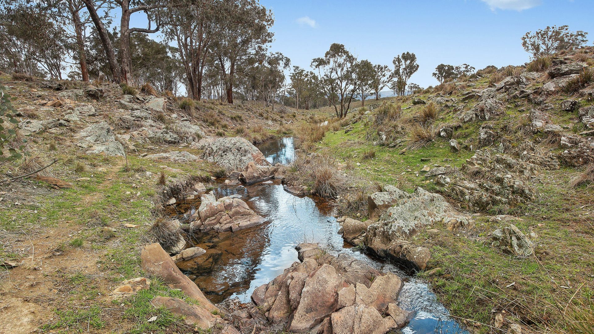 For Sale - Lot 1301, Queens Pinch Road - New Property in Mudgee - Real Estate by Adam Woods