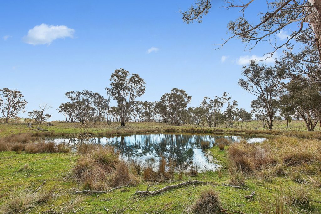For Sale - Lot 1301, Queens Pinch Road - New Property in Mudgee - Real Estate by Adam Woods
