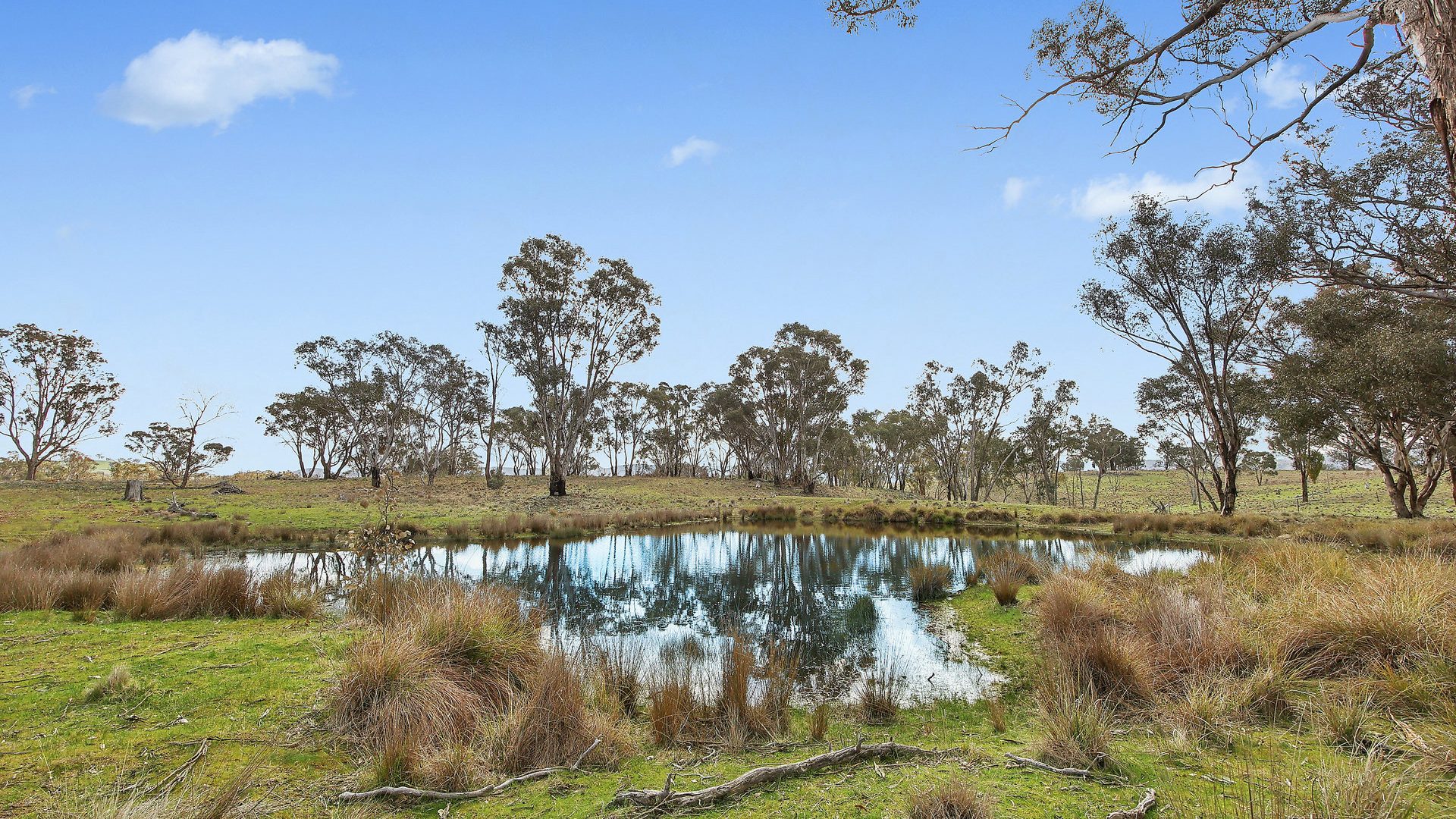 For Sale - Lot 1301, Queens Pinch Road - New Property in Mudgee - Real Estate by Adam Woods