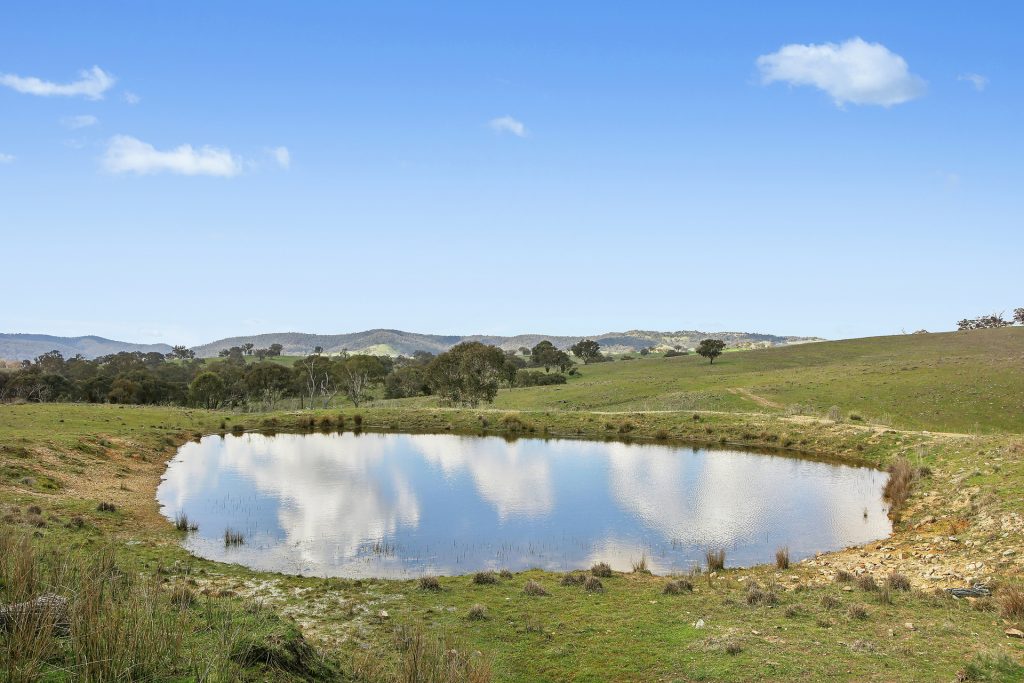 For Sale - Lot 1301, Queens Pinch Road - New Property in Mudgee - Real Estate by Adam Woods
