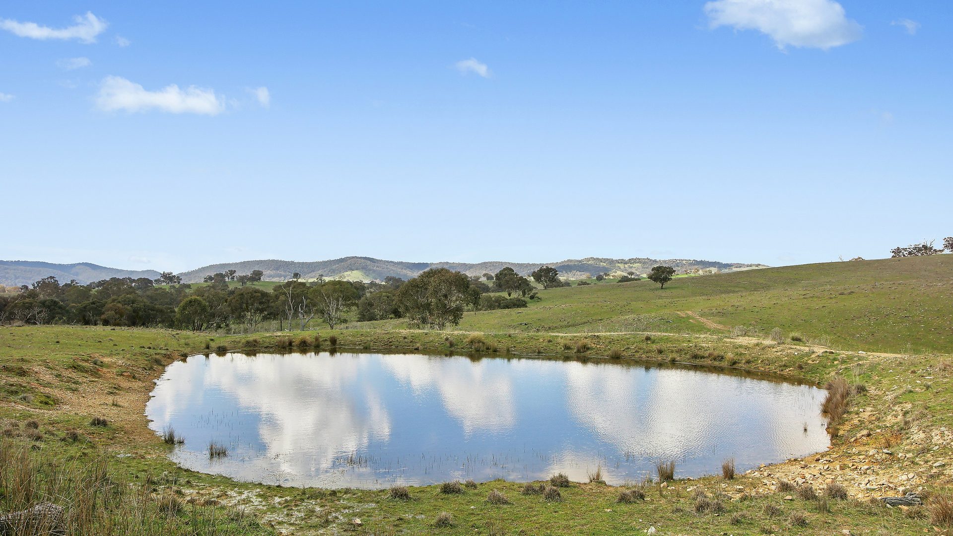 For Sale - Lot 1301, Queens Pinch Road - New Property in Mudgee - Real Estate by Adam Woods