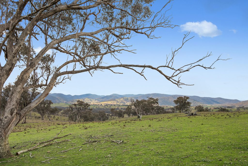 For Sale - Lot 1301, Queens Pinch Road - New Property in Mudgee - Real Estate by Adam Woods