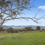 Lot 1301, Queens Pinch Road Mudgee NSW 2850 AUS