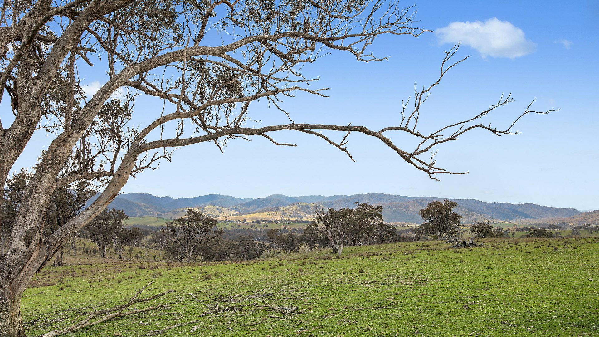 For Sale - Lot 1301, Queens Pinch Road - New Property in Mudgee - Real Estate by Adam Woods