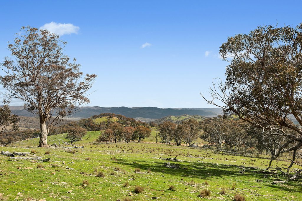 For Sale - Lot 1301, Queens Pinch Road - New Property in Mudgee - Real Estate by Adam Woods